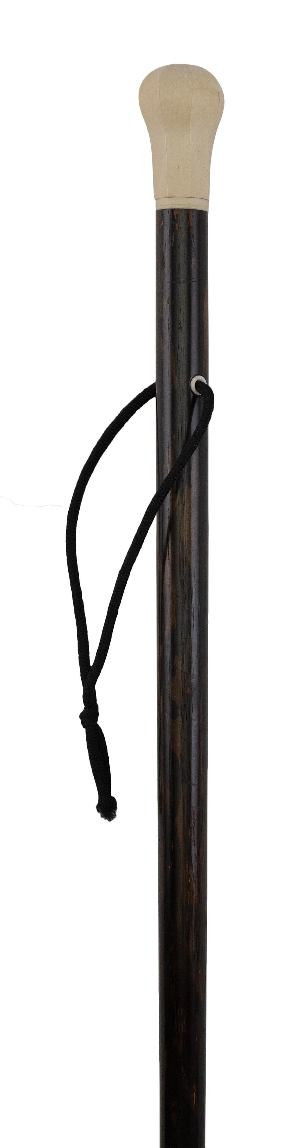 COROMANDEL CANE 19th Century Length 37". (1 of 1)