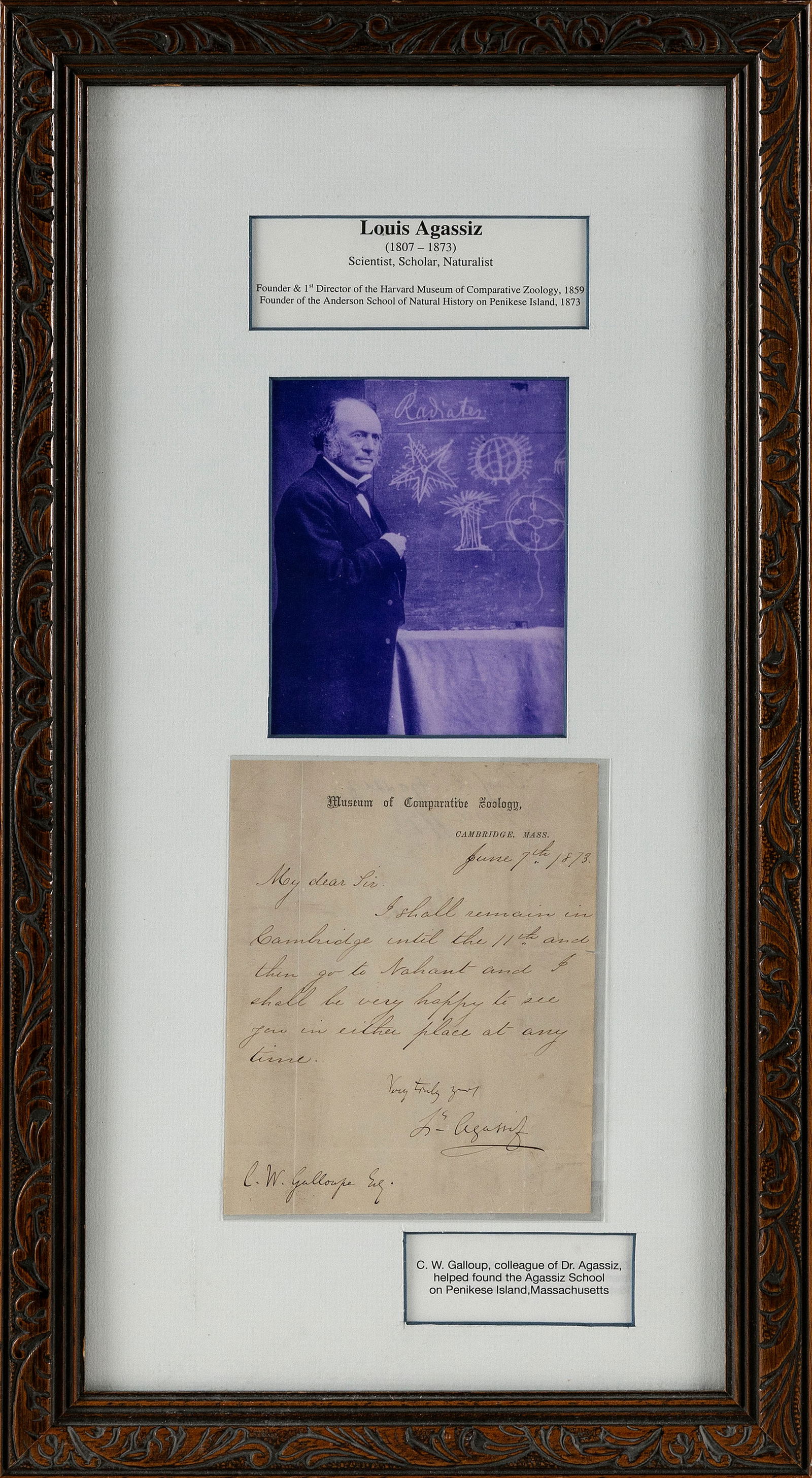 LOUIS AGASSIZ AUTOGRAPHED LETTER SIGNED (ALS) Late 19th Century Letter 6î x 4.75î. Framed (1 of 2)