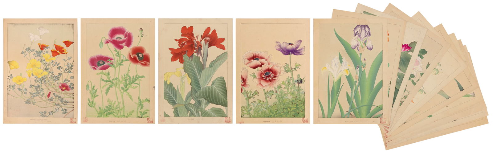 SHIGUSA SOUN (Japan, 1873-1944), Fourteen prints from "Flowers of Japan", circa 1900., Woodblock (1 of 3)