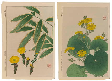TWO JAPANESE BOTANICAL WOODBLOCK PRINTS 20th Century Oban tate-e, 15.5" x 10.5". Unframed.: TWO JAPANESE BOTANICAL WOODBLOCK PRINTS20th Century1) King Cup or Marsh Marigold by Ohara Koson (1877-1945).2) Adonis and Bamboo by Kawarazaki Shodo (1889-1973).Oban tate-e, 15.5" x 10.5". Unframed.