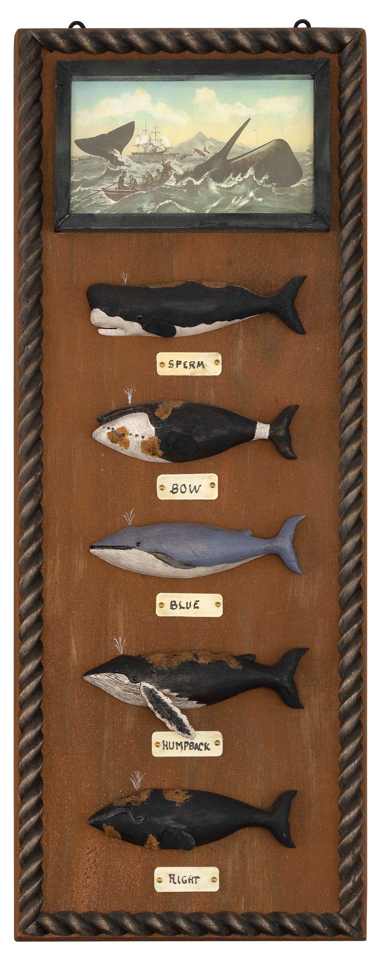 ROGER MITCHELL WHALE DISPLAY PLAQUE Massachusetts, Contemporary Board 18" x 7".: ROGER MITCHELL WHALE DISPLAY PLAQUE Massachusetts, Contemporary Five different identified species of carved and painted whales mounted on a board below a framed whaling print. Board with a carved rope