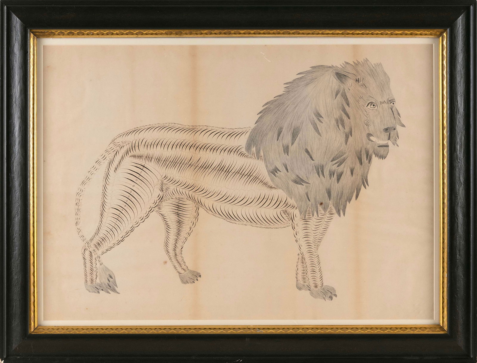 AMERICAN SCHOOL (19th Century,), Study of a lion., Pencil on paper, 20" x 28" sight. Framed 24.75" x (1 of 2)