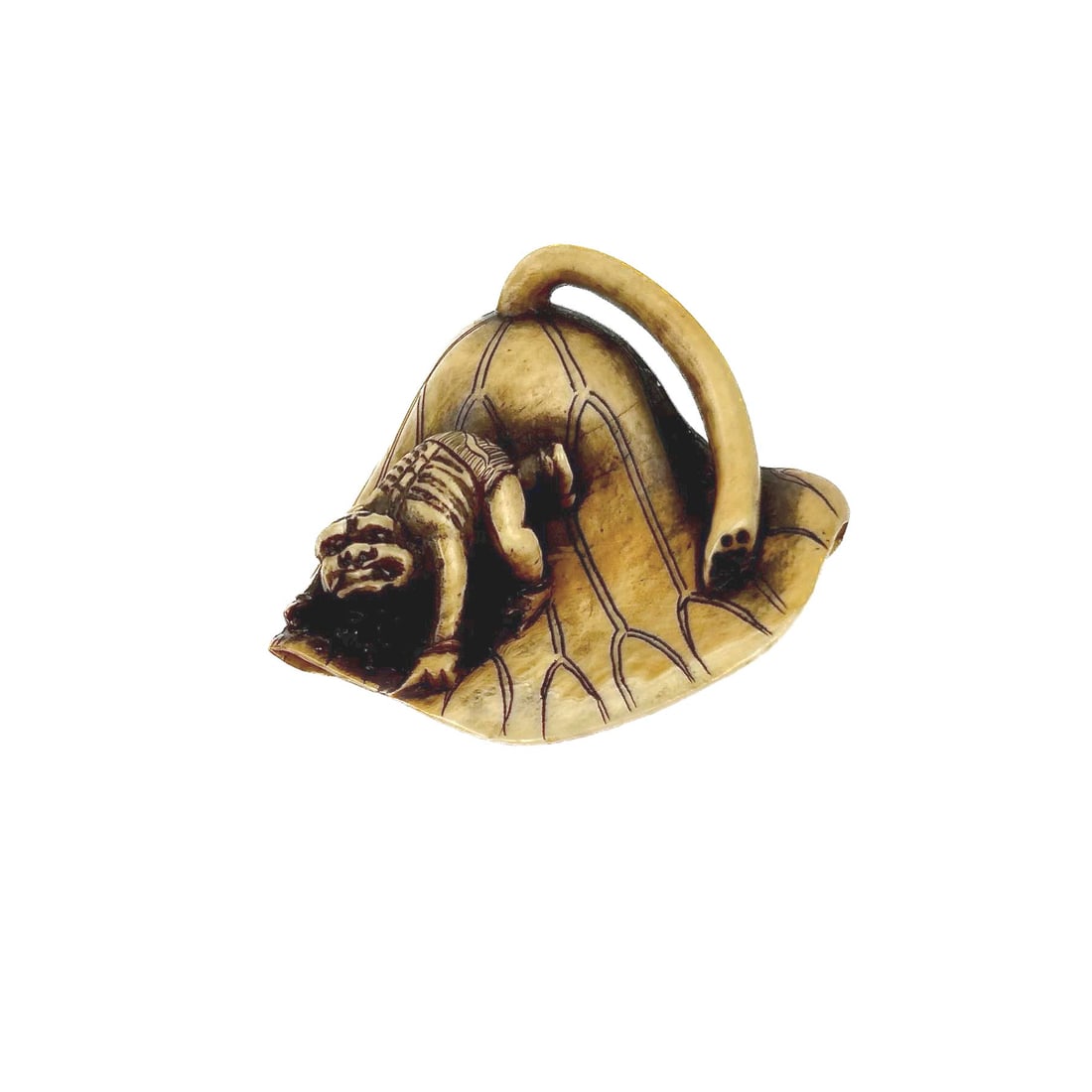 JAPANESE CARVED IVORY NETSUKE 19th Century Length 2". (1 of 5)