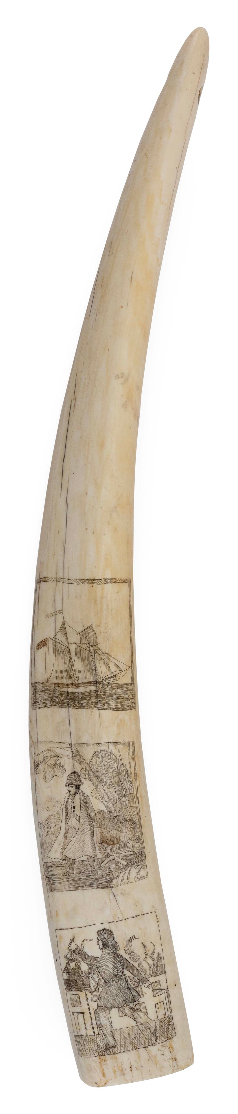 WALRUS TUSK WITH THREE VIGNETTES 19th Century Length 22".: WALRUS TUSK WITH THREE VIGNETTES 19th Century One vignette depicts a vessel under sail flying a pennant and red flag, framed within a rope border. Other vignettes depict Napoleon in a landscape and a 