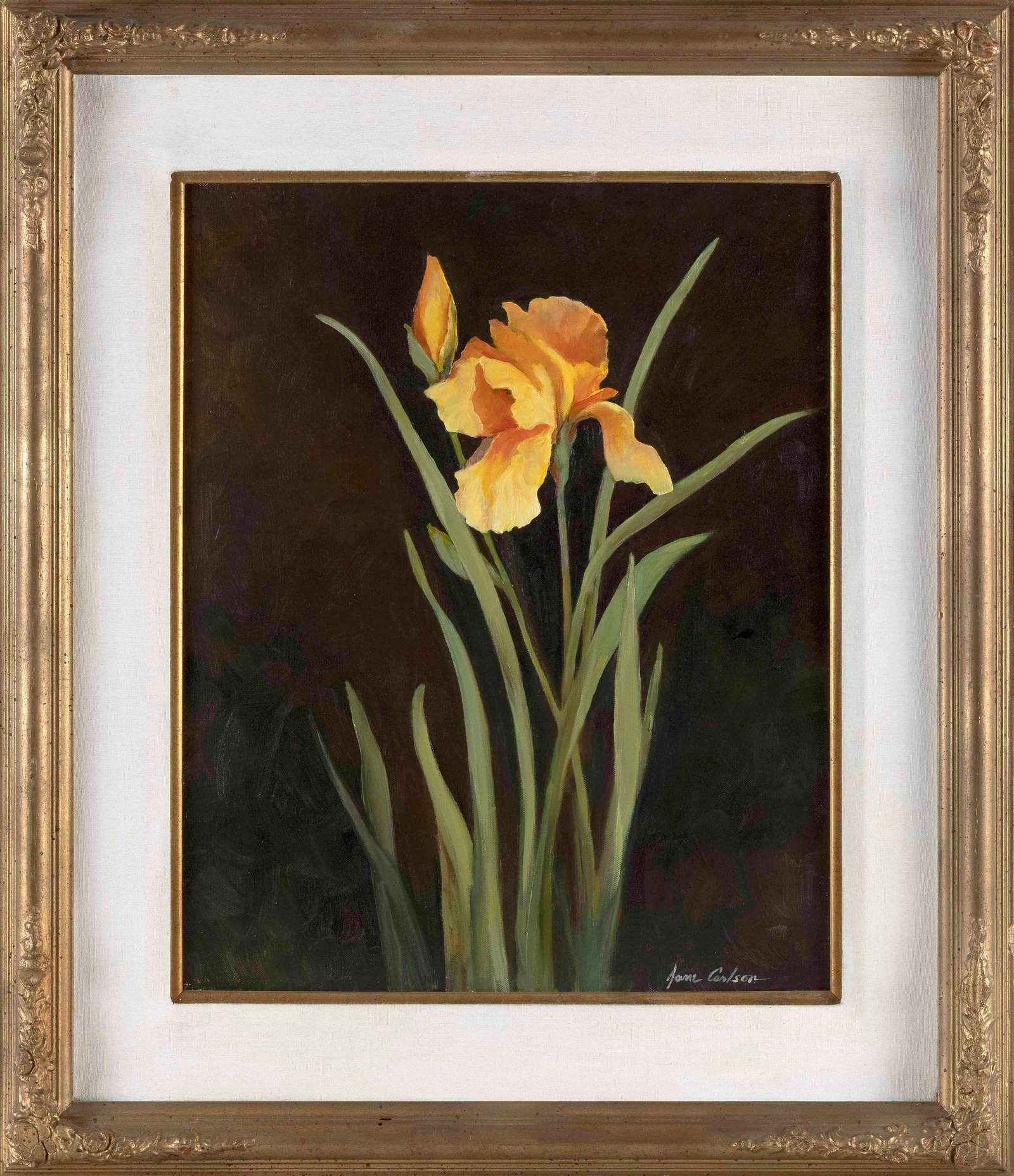 JANE CARLSON (America, 1928-), Yellow iris., Oil on canvas, 20" x 16". Framed 30" x 25". (1 of 2)