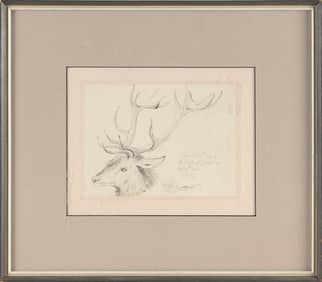PEN AND INK DRAWING OF A STAG 19th Century 7.75" x 9.5" sight. Framed 14.5" x 16.5".