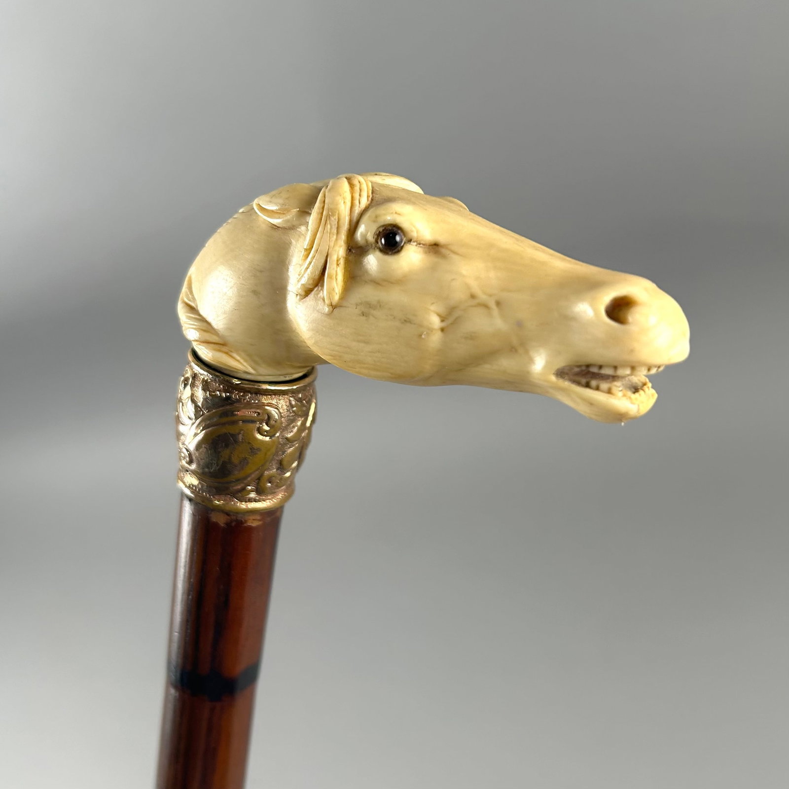 HORSE HEAD CANE Late 19th/Early 20th Century Length 35.5".: HORSE HEAD CANE Late 19th/Early 20th Century Ivory handle carved as the head of a horse with an open mouth showing its teeth, flattened ears and glass bead eyes. Gold metal collar with foliate design,