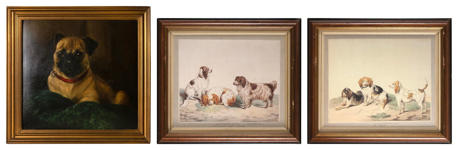 THREE PORTRAITS OF DOGS 20th Century (1 of 2)