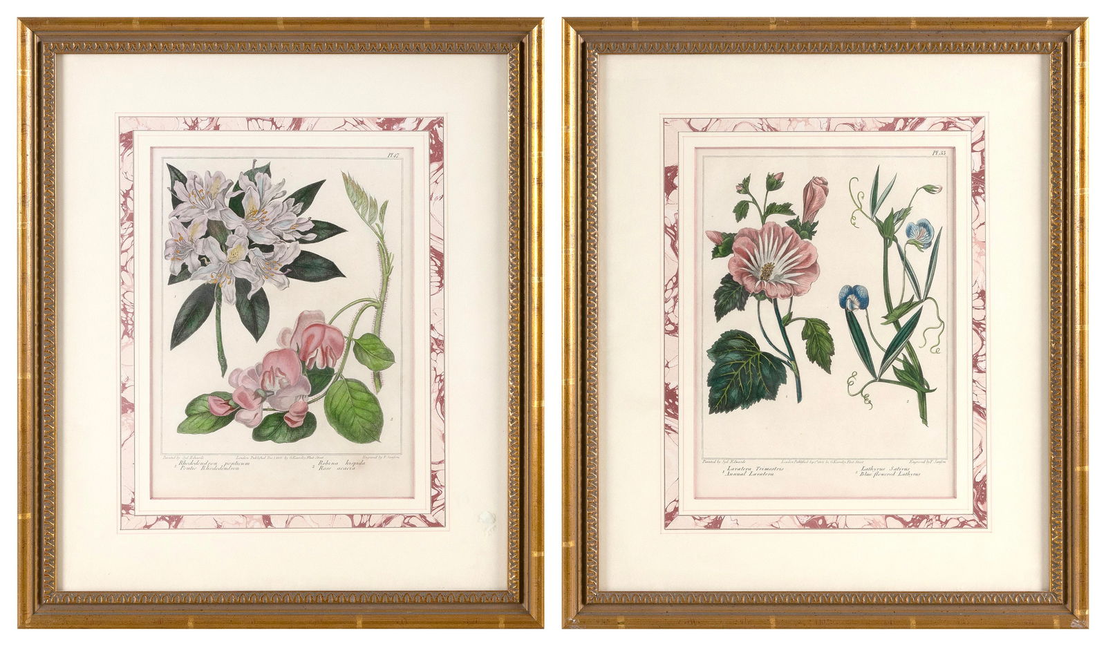 TWO HAND-COLORED BOTANICAL ENGRAVINGS 20th Century Both 10.25" x 7.75" sight. Framed 18" x 15.25". (1 of 2)