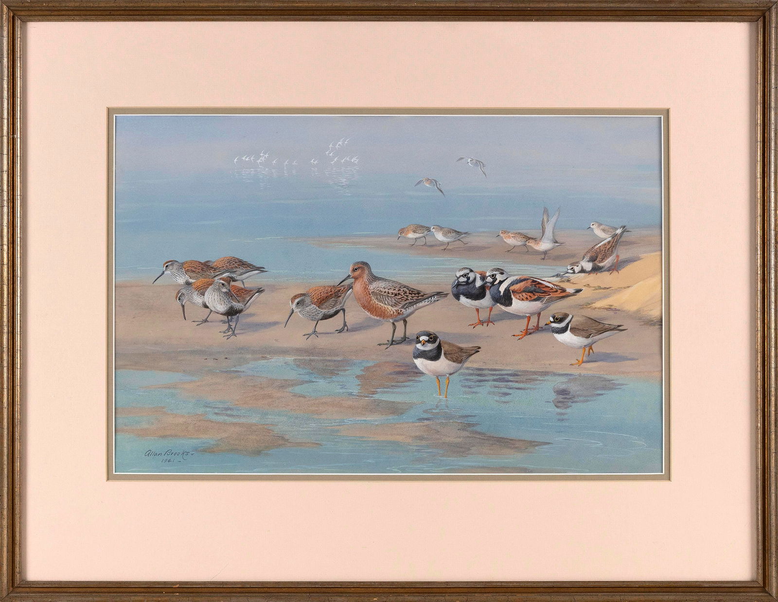 ALLAN BROOKS (Canada, 1869-1945), Shorebirds., Watercolor on paper, 12.5" x 19.5". Framed 21" x (1 of 2)