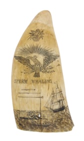 SCRIMSHAW WHALE'S TOOTH "SPERM WHALING" Mid-19th Century Length 5.75".
