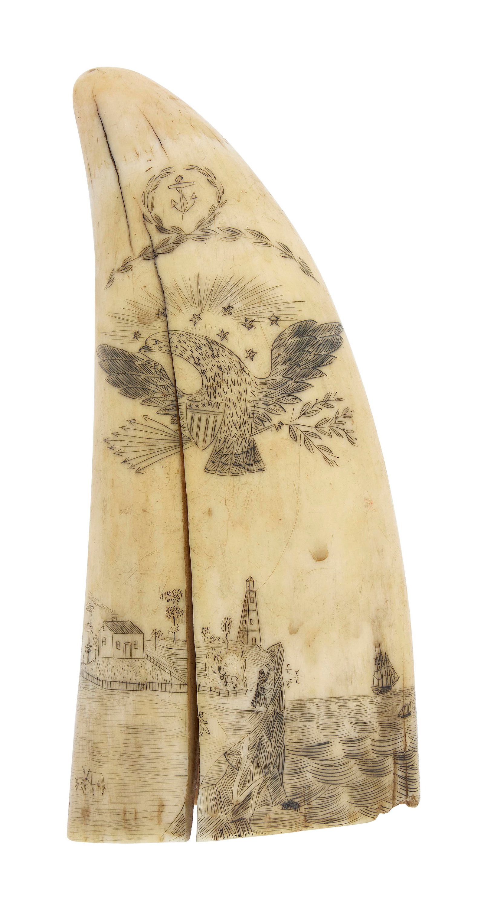 SCRIMSHAW WHALE'S TOOTH WITH SEASCAPE Mid-19th Century Length 5.5".: SCRIMSHAW WHALE'S TOOTH WITH SEASCAPE Mid-19th Century A highly detailed panoramic coastal scene wraps around the base of the tooth, with an island landscape centered on the obverse and a large ship c