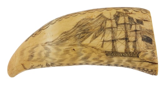 SCRIMSHAW WHALE'S TOOTH DEPICTING SHIPS ALONG THE COAST OF PERU 19th Century Length 6".
