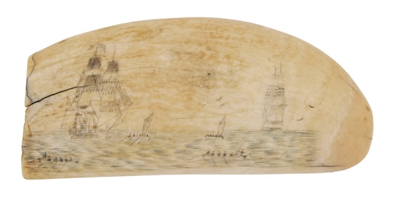 POLYCHROME SCRIMSHAW WHALE'S TOOTH WITH WHALING AND NAVAL SCENES 19th Century Length 5.5".