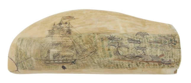 POLYCHROME SCRIMSHAW WHALE'S TOOTH WITH WHALING AND NAVAL ENGAGEMENT SCENES Mid-19th Century Length