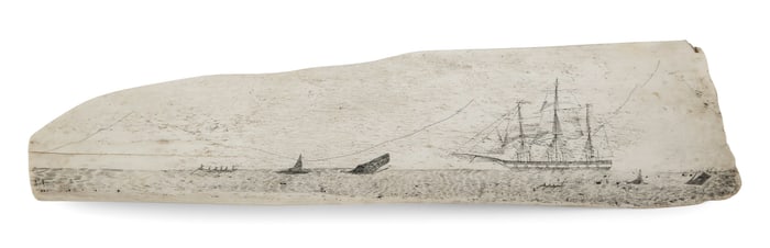 RARE SCRIMSHAW JAWBONE SECTION 19th Century Approx. 7" x 29.5".