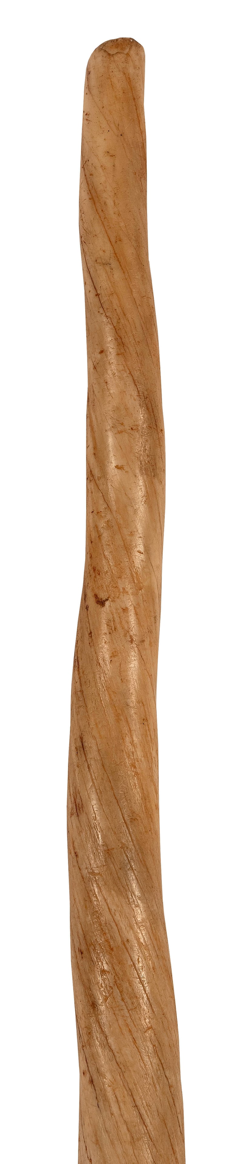 * NARWHAL TUSK Probably 19th Century Length 76".: * NARWHAL TUSK Probably 19th Century * Per Federal Regulation, this item may only be purchased by a Massachusetts resident and will not be shipped out of state. Length 76".
