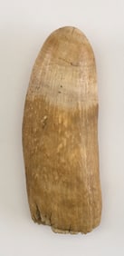 * UNPOLISHED WHALE'S TOOTH Length 7".