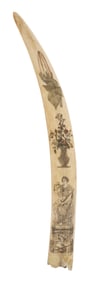 POLYCHROME SCRIMSHAW WALRUS TUSK 19th Century Length 17".