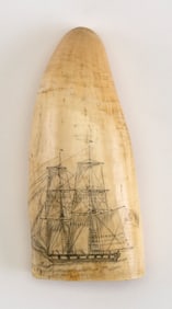 SCRIMSHAW WHALE'S TOOTH 19th Century Length 5.25".