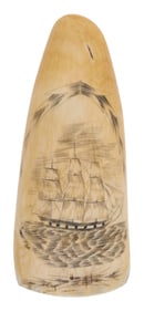 SCRIMSHAW WHALE'S TOOTH 19th Century Length 6.25".