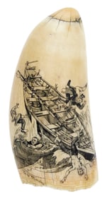 * ENGRAVED WHALE'S TOOTH BY LAURA MCCANDLESS 20th Century Length 6".