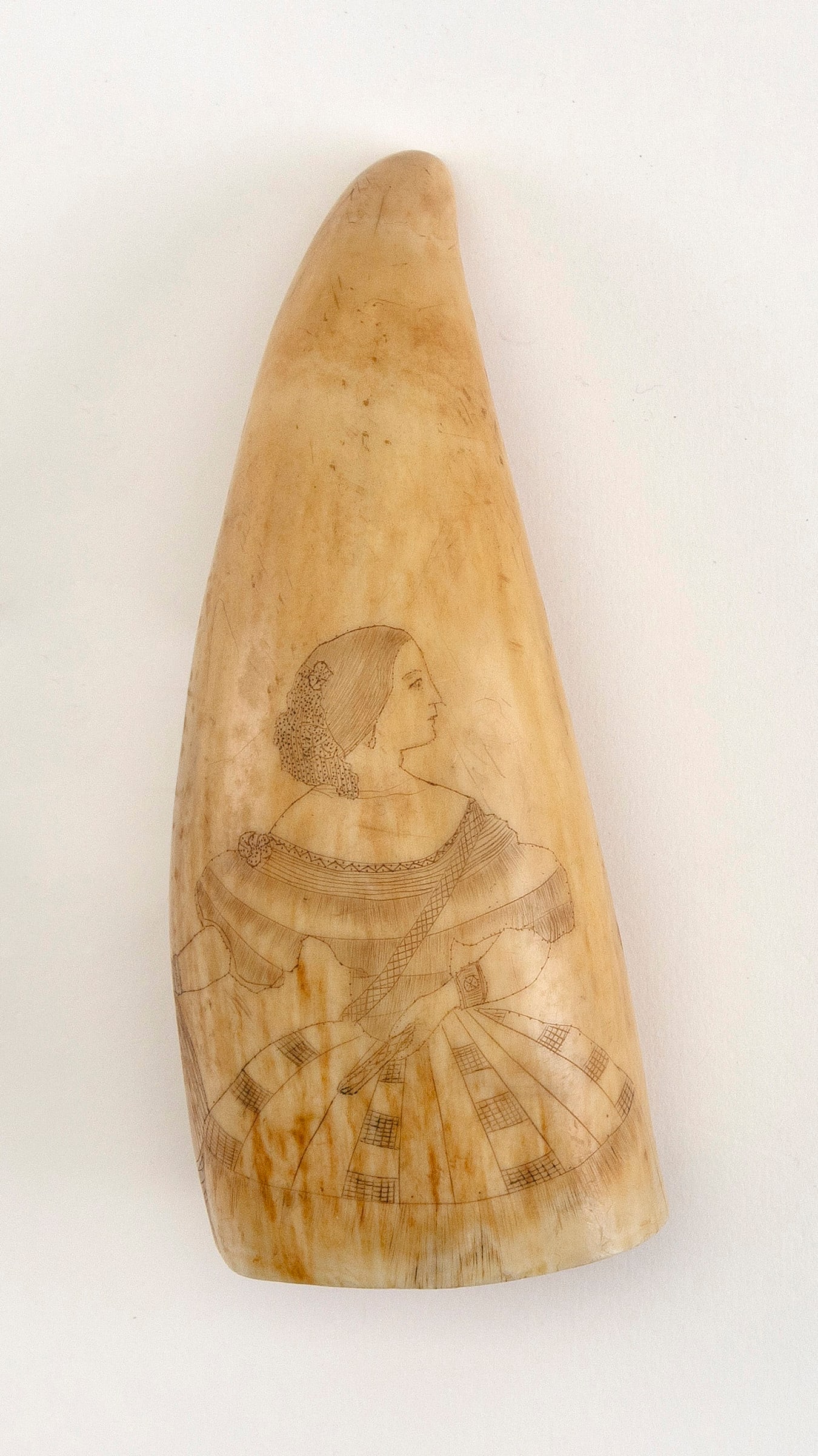 SCRIMSHAW WHALE'S TOOTH WITH PORTRAIT OF A LADY Mid-19th Century Length 5.5".: SCRIMSHAW WHALE'S TOOTH WITH PORTRAIT OF A LADY Mid-19th Century Half-length depiction of a woman whose head is facing left, showing her elaborate hair adornment. She is wearing a puffy-sleeved dress,