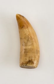 SMALL SCRIMSHAW WHALE'S TOOTH WITH MULTIPLE IMAGES 19th Century Length 3.25".