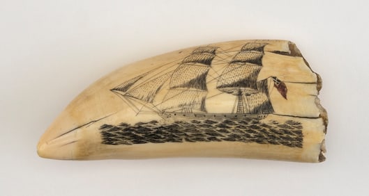 POLYCHROME SCRIMSHAW WHALE'S TOOTH Mid- to Late 19th Century Length 6".