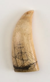 SCRIMSHAW WHALE'S TOOTH WITH WHALESHIP PORTRAIT 19th or Early 20th Century Length 5".