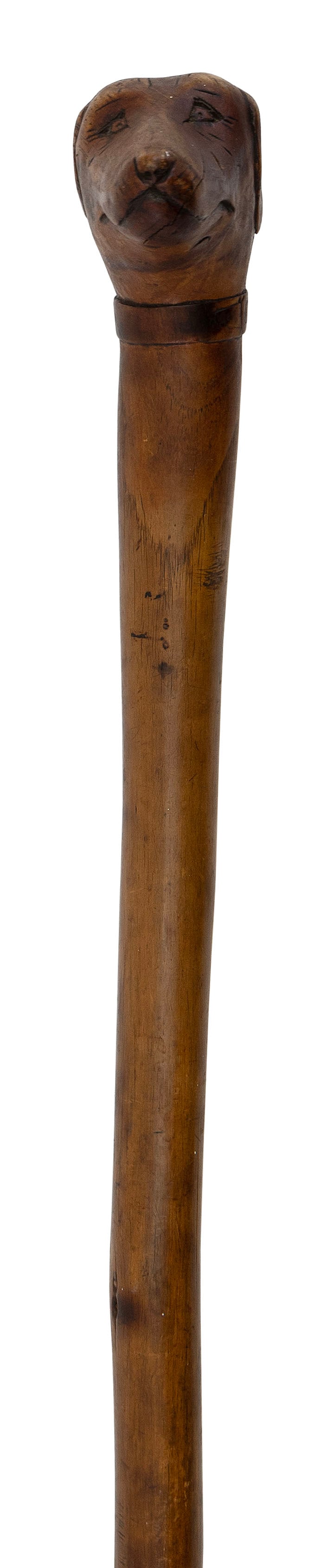 HARDWOOD DOG'S-HEAD CANE 19th Century Length 37".: HARDWOOD DOG'S-HEAD CANE 19th Century Handle carved as a long-eared dog wearing a collar. Length 37".