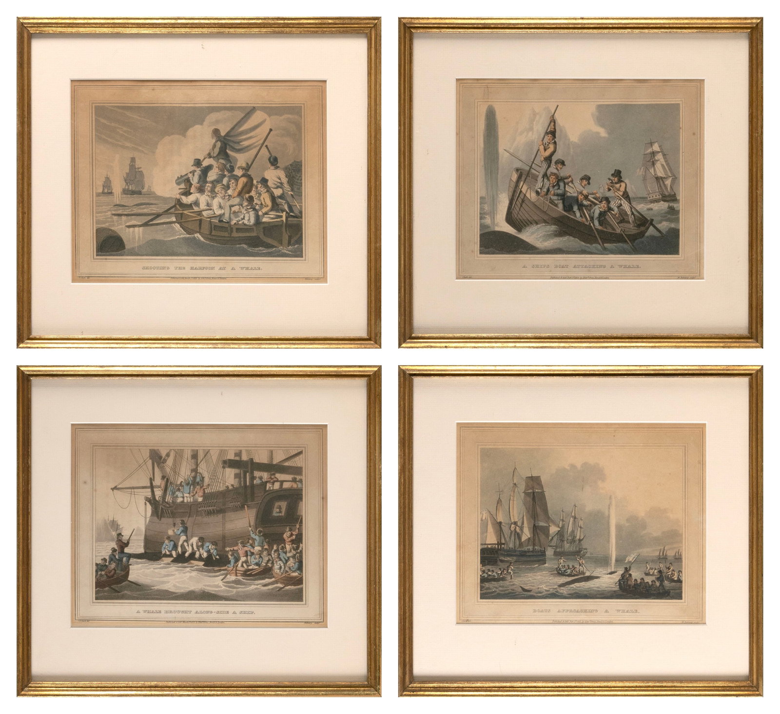 SET OF FOUR WHALING PRINTS Circa 1813 Framed and matted 11" x 12.5".: SET OF FOUR WHALING PRINTS Circa 1813 "Boats Approaching a Whale.", "Shooting the Harpoon at a Whale.", "A Ships Boat Attacking a Whale." and "A Whale Brought Along-Side a Ship". Matthew Dubourg aquat