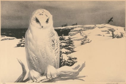 STOW WENGENROTH (New York/Massachusetts, 1906-1978), "Winter Visitor" (Snowy Owl)., Etching, 10" x