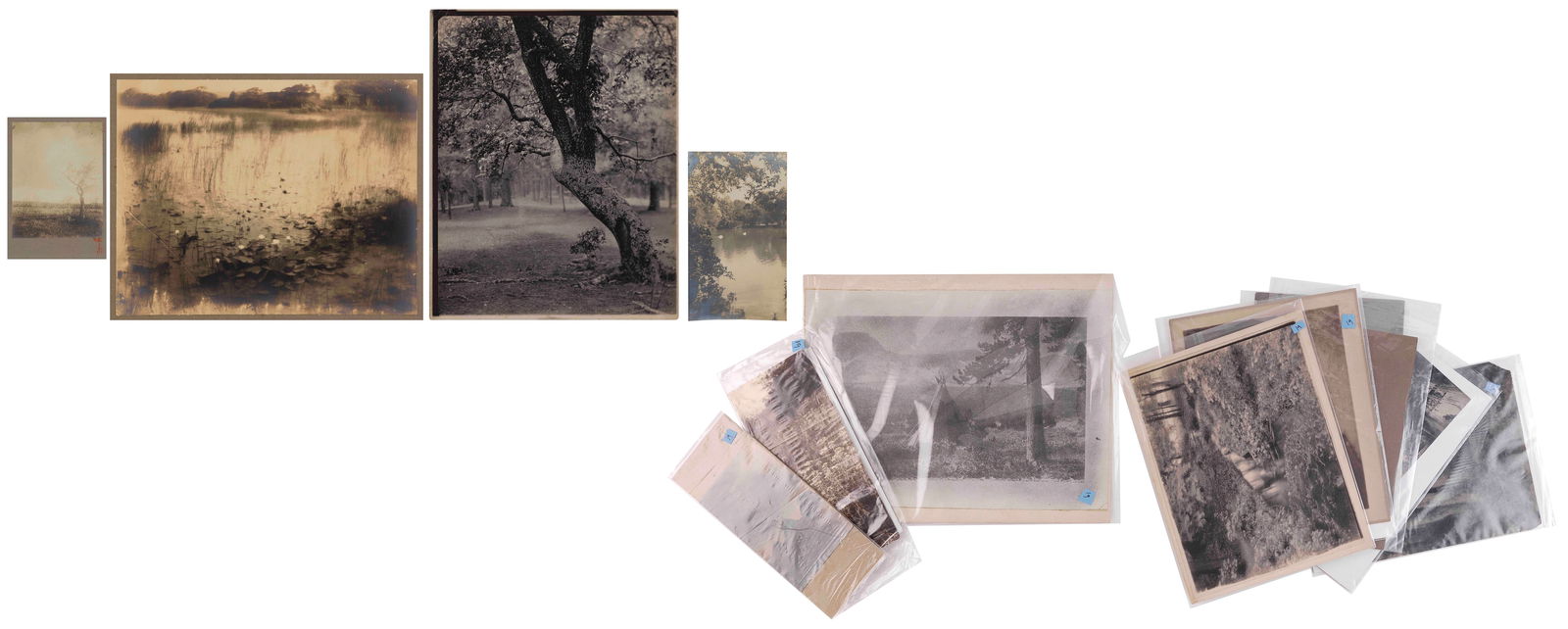 RUDOLF EICKEMEYER (New York, 1862-1932), Twelve photographs depicting nature scenes., Sheets from: RUDOLF EICKEMEYERNew York, 1862-1932Twelve photographs depicting nature scenes. Six mounted. One with Eickemeyer's initials and dated 1925 in red on the mount. Others unsigned.Sheets from 4.5" x 3" to