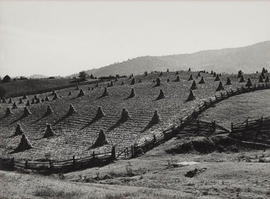 MARION POST WOLCOTT (California/New York/New Jersey, 1910-1990), "Virginia Farmlands"., Silver