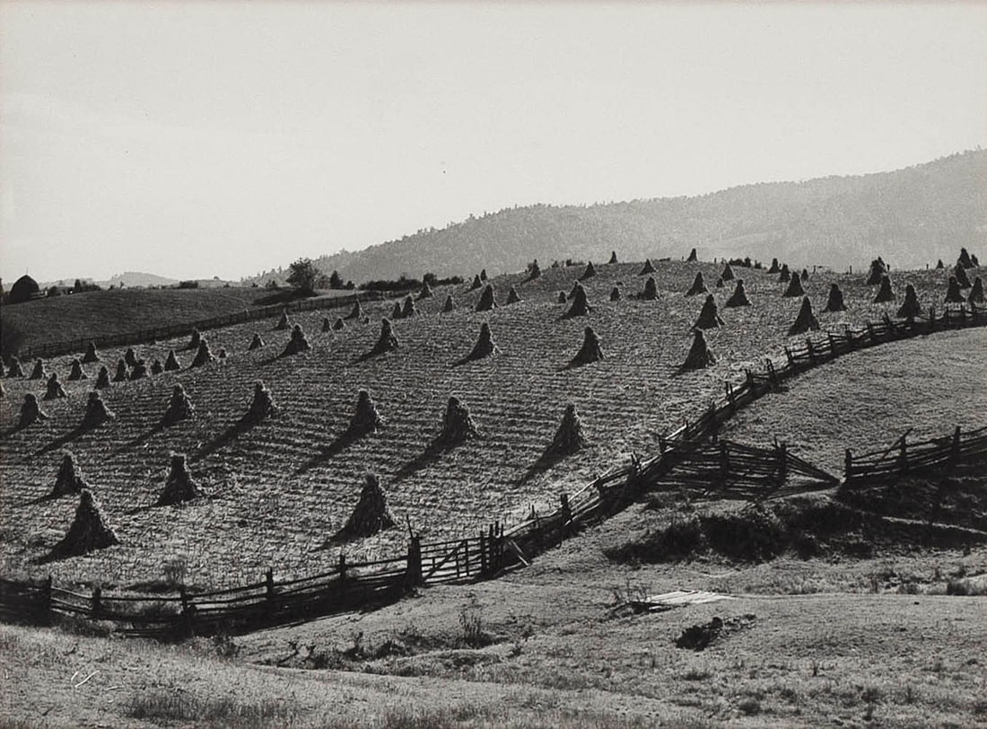 MARION POST WOLCOTT (California/New York/New Jersey, 1910-1990), "Virginia Farmlands"., Silver (1 of 4)
