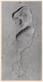 AARON SISKIND (Rhode Island/Illinois, 1903-1991), "Martha's Vineyard 8"., Silver gelatin print,