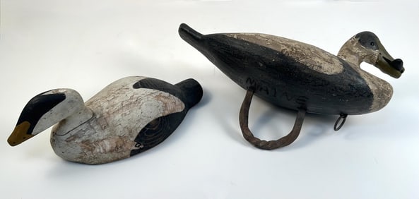 TWO EIDER DRAKE DECOYS 20th Century Lengths 17" and 20".