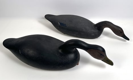 PAIR OF GARY AVADANIAN BLACK DUCK DECOYS Massachusetts, 1945-2024 Lengths 26".