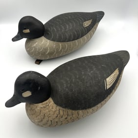 TWO GARY AVADANIAN BUFFLEHEAD HEN DECOYS Massachusetts, 1945-2024 Lengths 16".