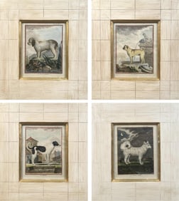 SET OF FOUR DOG PRINTS AFTER GEORGES-LOUIS LECLERC BUFFON 18th Century Hand-colored engravings on