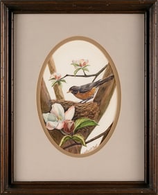 WATERCOLOR OF A ROBIN 20th Century Oval 12" x 8" sight. Framed 21" x 17".