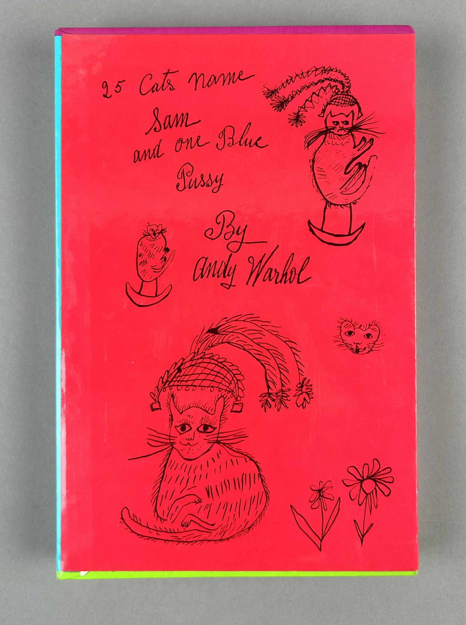 BOXED SET "25 CATS NAMED SAM AND ONE BLUE PUSSY" BY ANDY WARHOL AND "HOLY CATS" BY ANDY WARHOL'S (1 of 11)