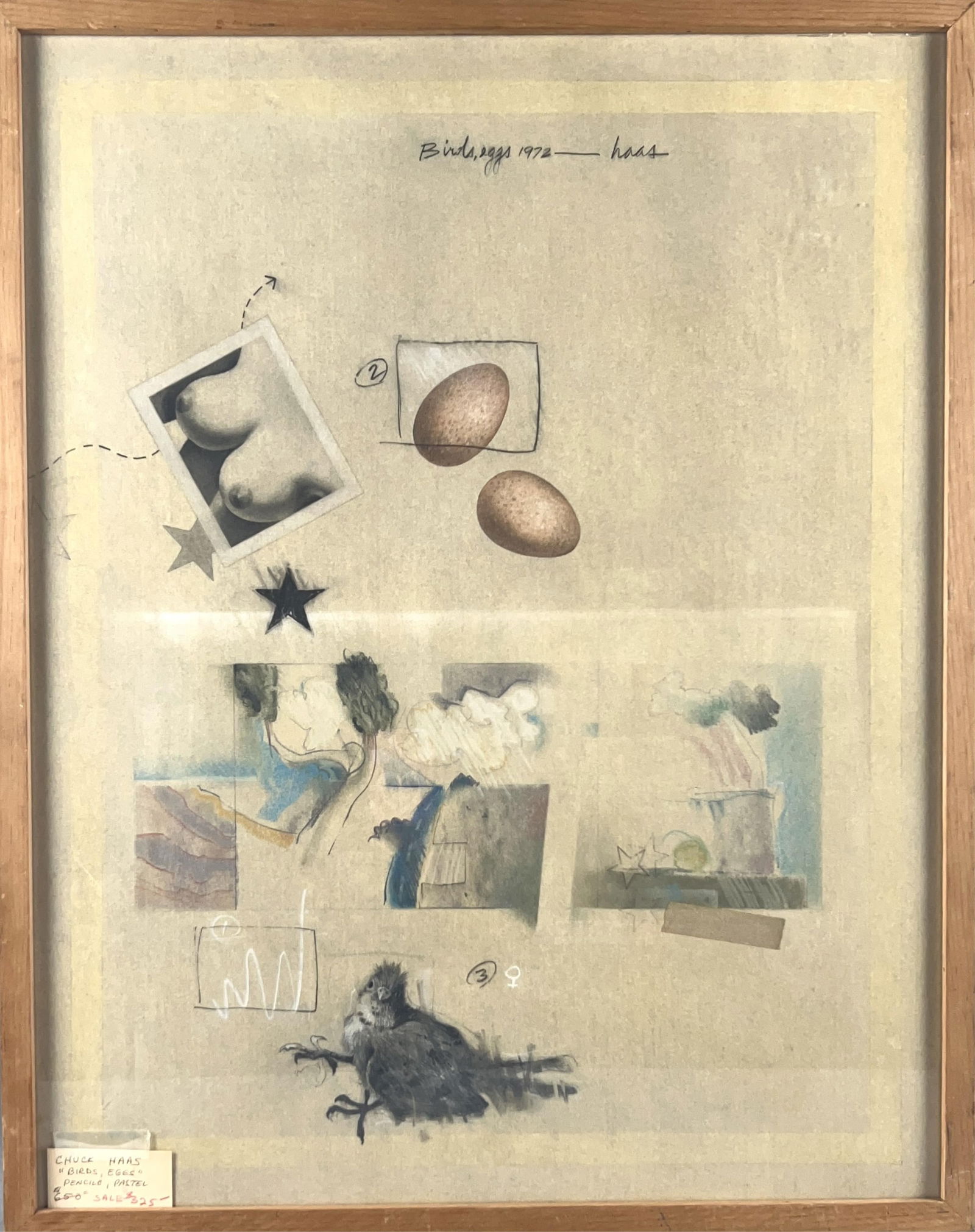 CHARLES HAAS (New York, 20th Century), "Birds' Eggs"., Pencil and pastels on paper, 28.5" x 22.5". (1 of 3)