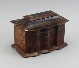 ENGLISH SHELL TEA CADDY 19th Century Width 8".