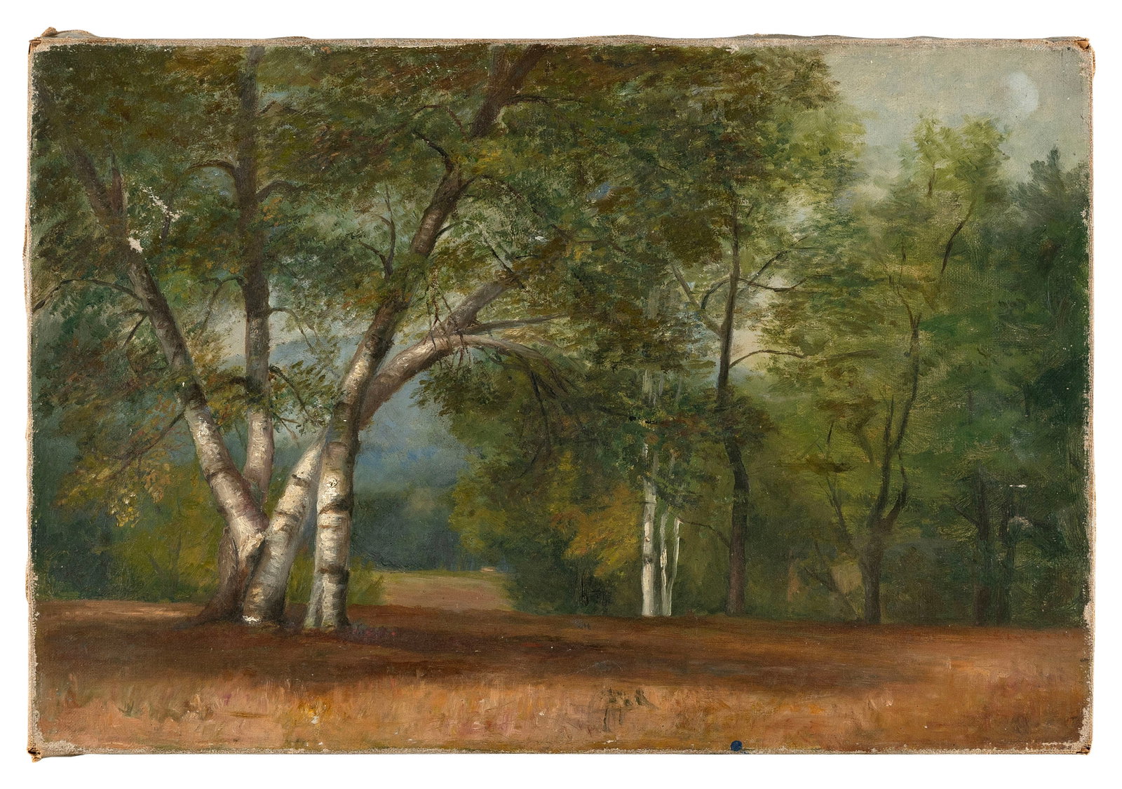 AMERICAN SCHOOL (Early 20th Century,), Sunlight through the birches., Oil on canvas, 12" x 18".: AMERICAN SCHOOL Early 20th Century Sunlight through the birches. Unsigned. Oil on canvas, 12" x 18". Unframed.