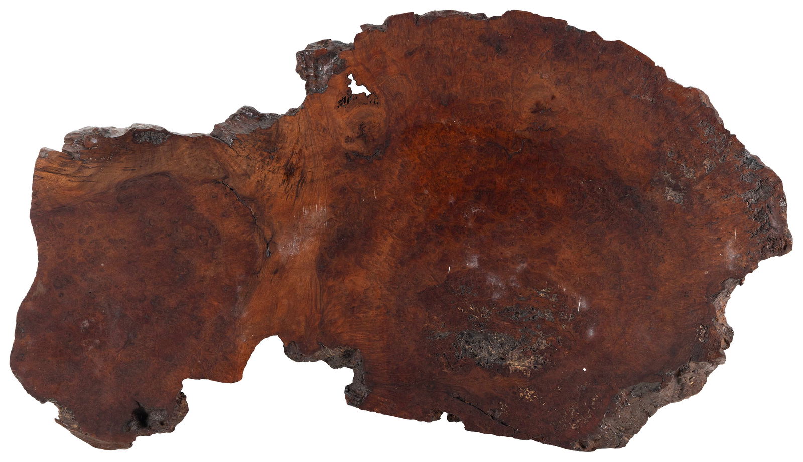 NICELY FIGURED JAPANESE BURLWOOD PRESENTATION PLATFORM 19th Century Height 1.25". Length 35". (1 of 4)