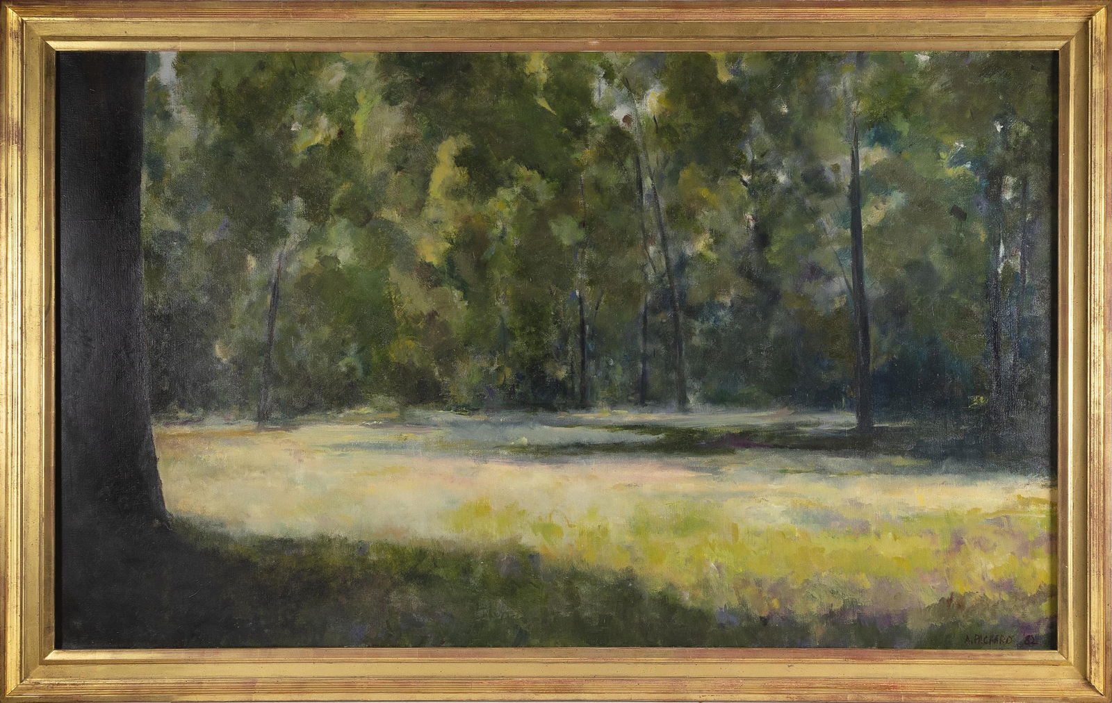 ANNE PACKARD (Massachusetts/New Jersey, 1933-), A clearing in the forest., Oil on canvas, 36" x 60".: ANNE PACKARDMassachusetts/New Jersey, 1933-A clearing in the forest. Signed and dated lower right "Anne Packard '82".Oil on canvas, 36" x 60". Framed 41" x 65".