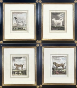 JACQUES EUSTACHE DE SEVE (France, 1742-1788), Set of four dog portraits:, Colored copperplate
