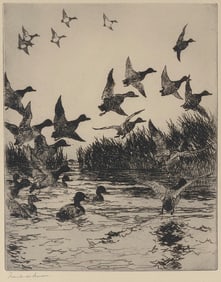 FRANK WESTON BENSON (Massachusetts, 1862-1951), "On the Redhead Grounds", 1924., Etching, 10.25" x